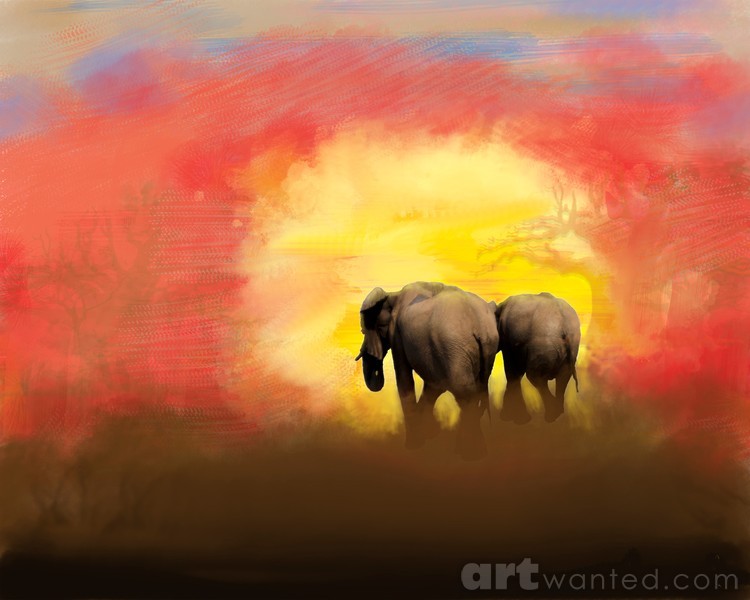 Eles into the Sunset
