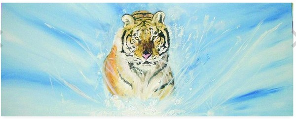 Tiger collection 5