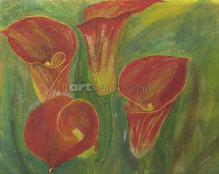 Arum Red
