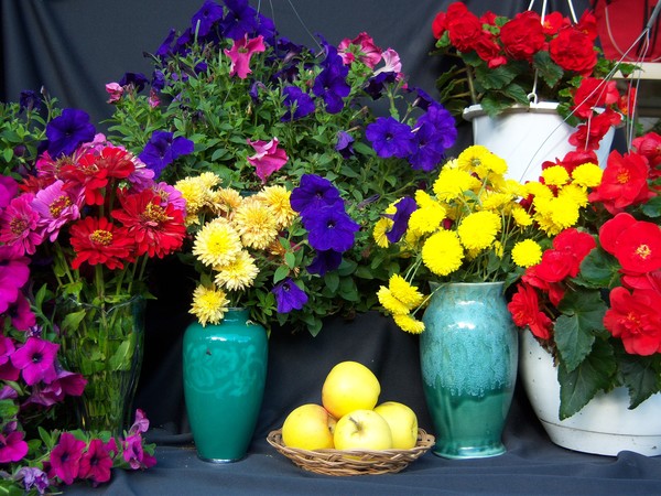 Flowers 3