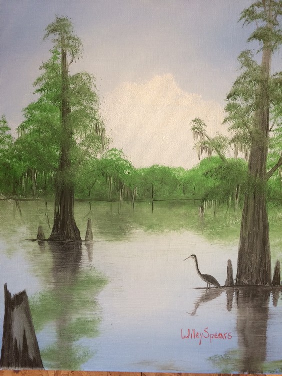 Back water bird