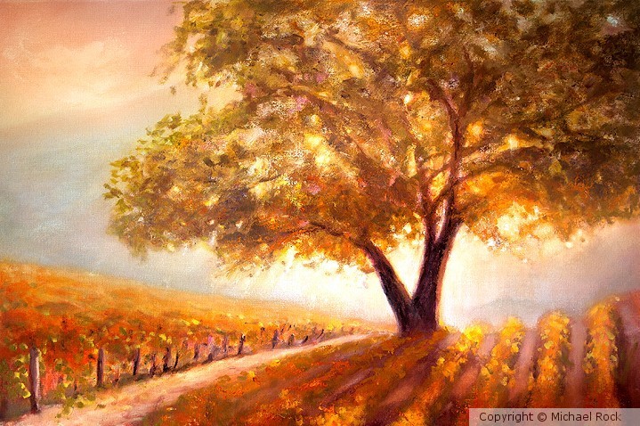 PASO ROBLES GOLDEN OAK