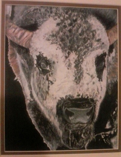 snowy Bison