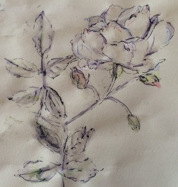 Rose Painting