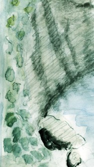Tilden Watercolor Sketch