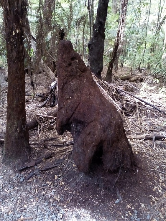 Tree trunk bear 