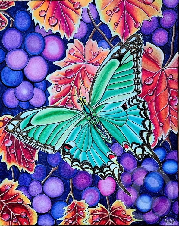 Butterfly 2024