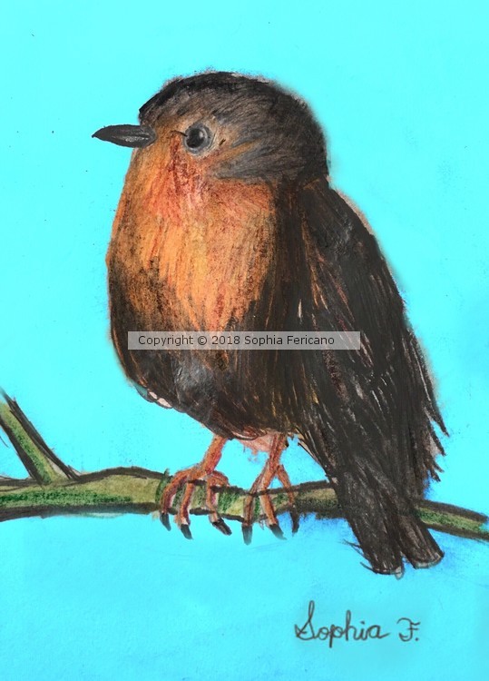 Bird on a Branch by Sophia Fericano, daughter of John Fericano.
