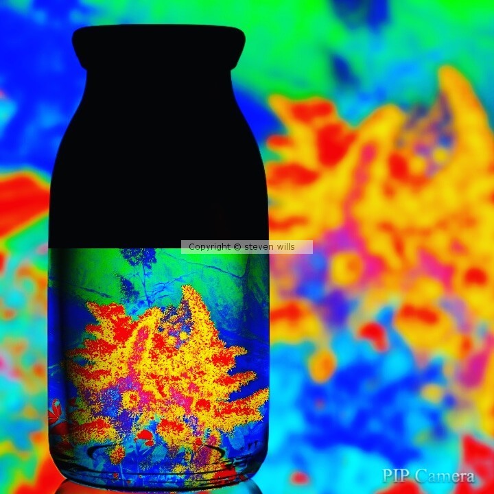 Flower in a bottle