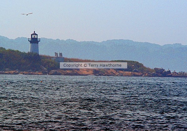 Harbour Light