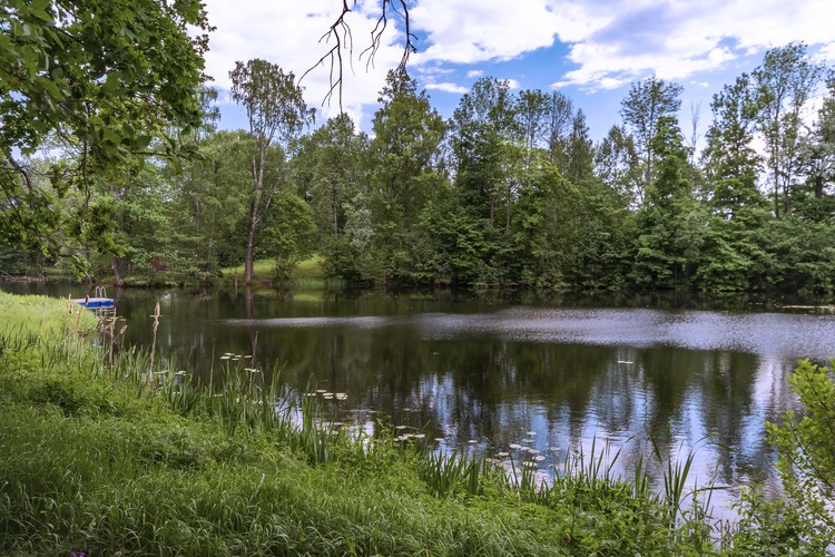 Beautiful lake