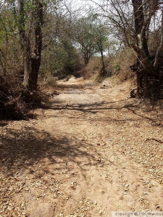 Dry Bed of the Kituluni River