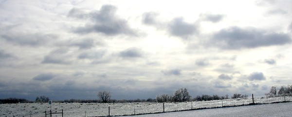 Clouded Sky
