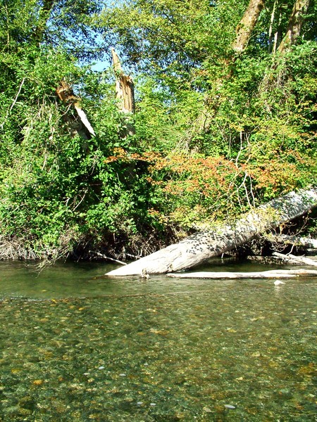 FALLS COMING EARLY