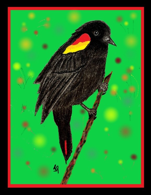 Black Red Bird 3D