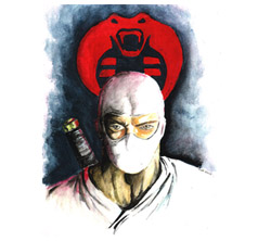 stormshadow