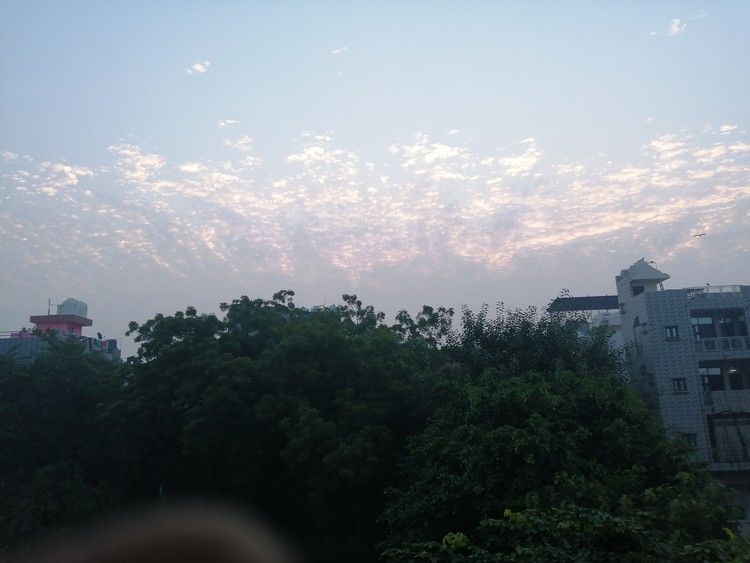 IMG 20191116 070017