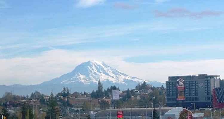 Mt Rainier 