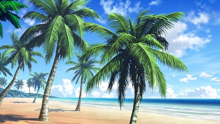 Beach Life