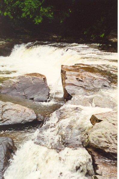 Swallow falls