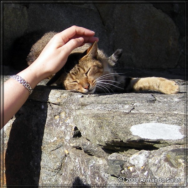 Caresses at San Andrés