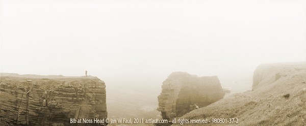 Bib at Noss Head