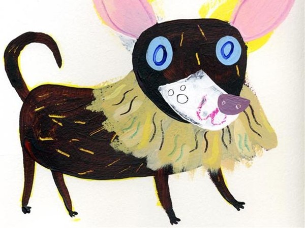 Chihuahua