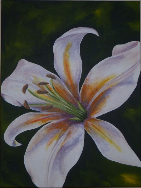 White Lily