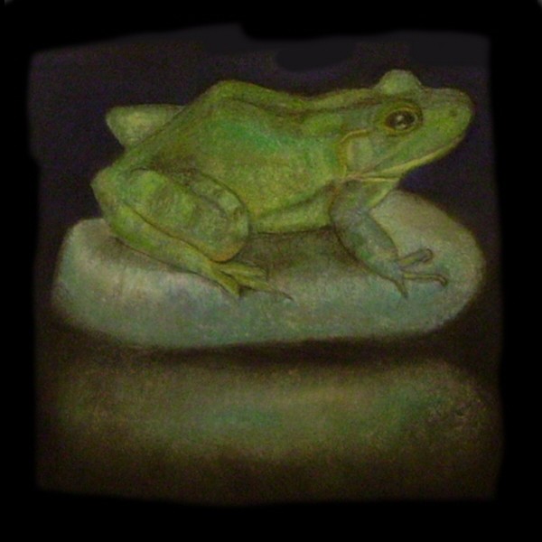 THE FROG ISOLATED