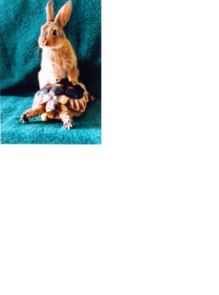 Binky&Meatpie
