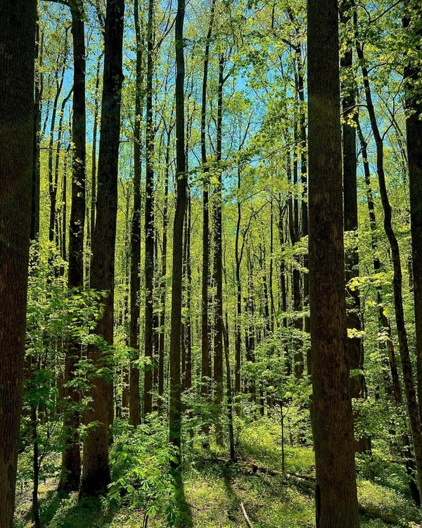 Its Mother Nature for me
