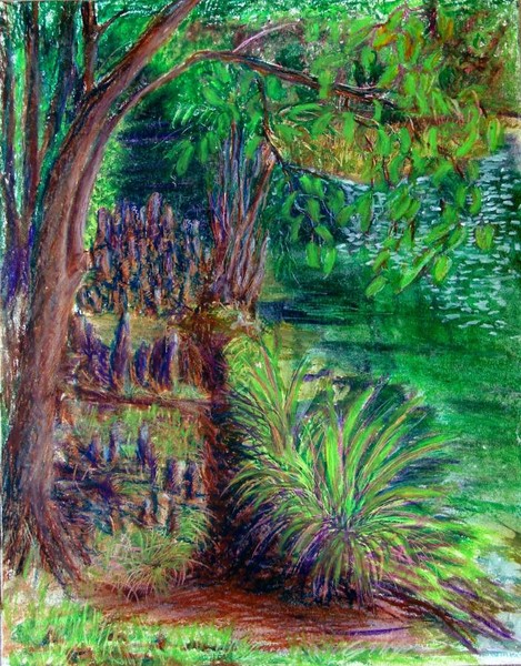 Santa Fe riverbank