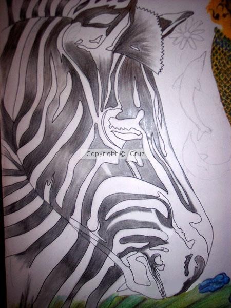 zebra