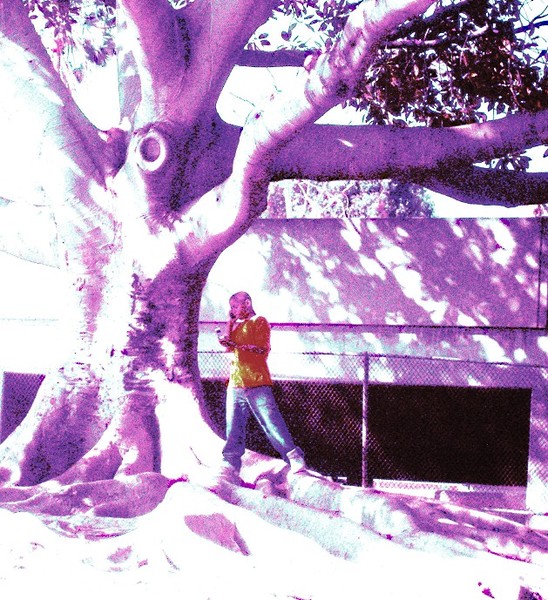 Tree Booth 