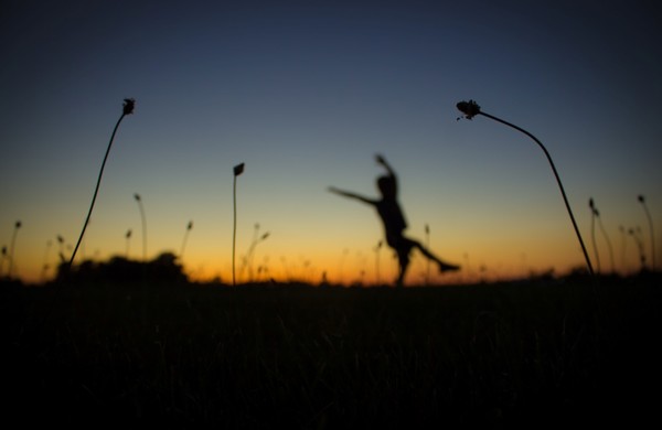 Sunset Pixie (3)