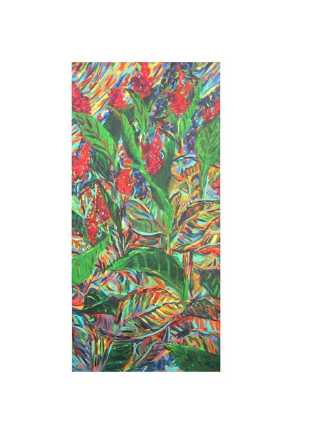 canna lillies