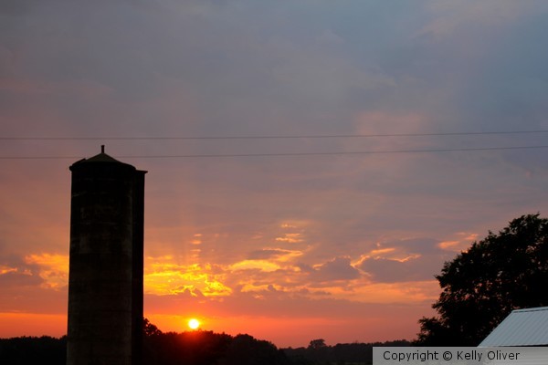 Sun Set Farm