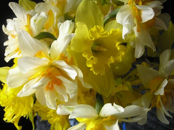 Its Spring