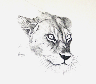 Lioness