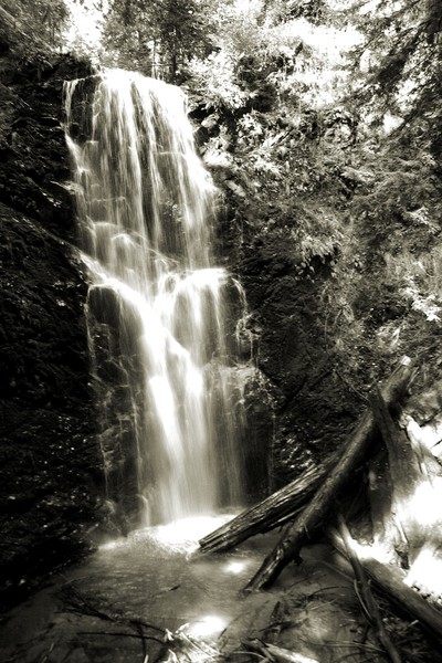 Big Basin Waterfall