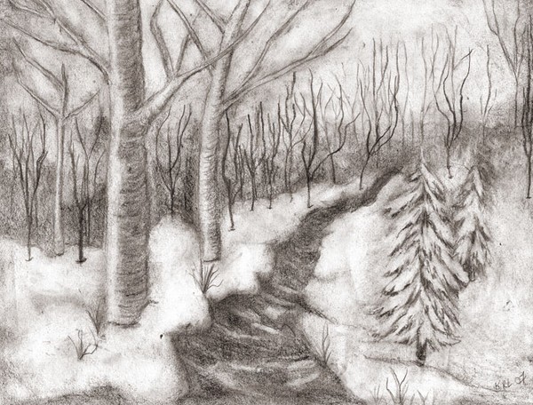 Snowy Woods