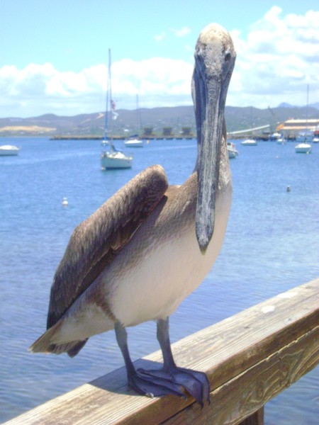 Whatcha' lookin' at?