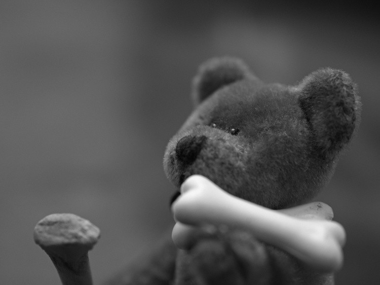 Bear Bones