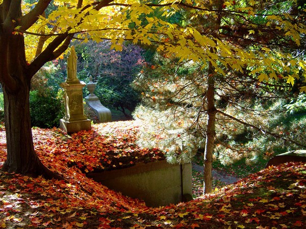 Mount Auburn Cemetery