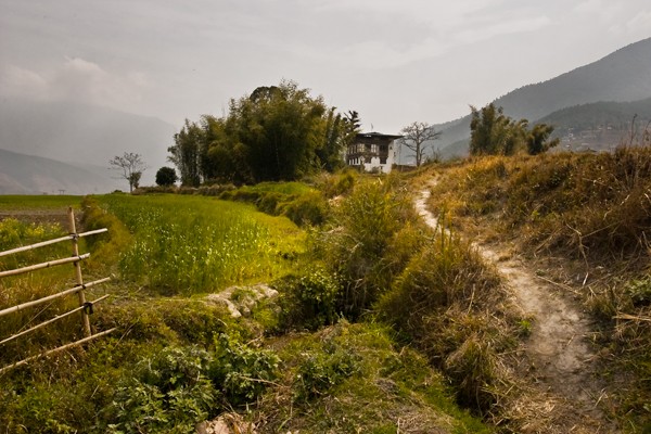 Path to The Farm