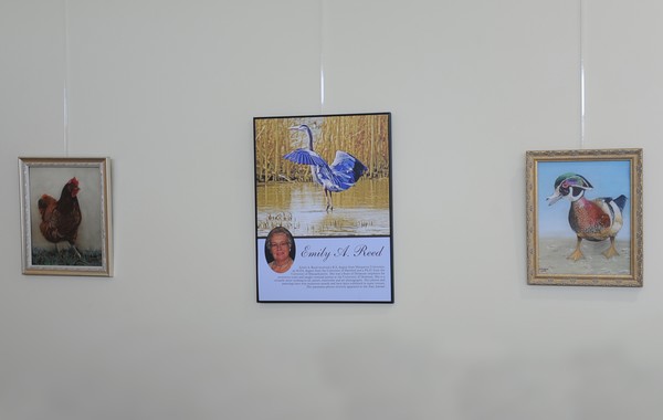 Killens Pond Exhibit