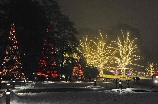 Longwood Garden Lights