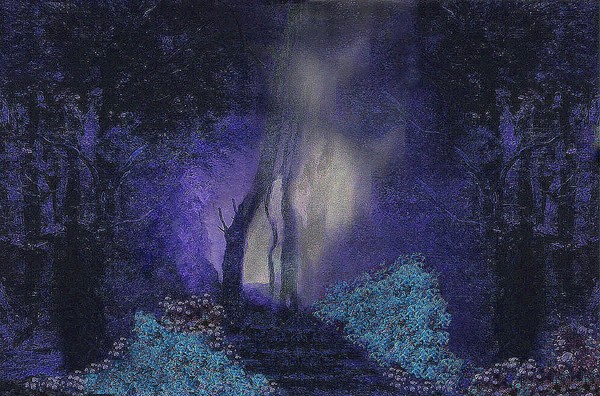 A Clearing At Night