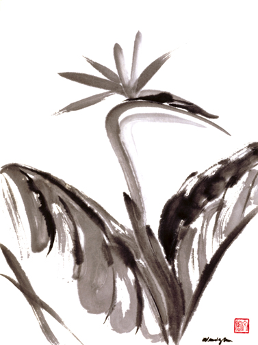 Bird of Paradise
