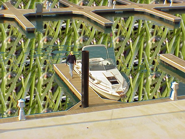 Boating in the Grass